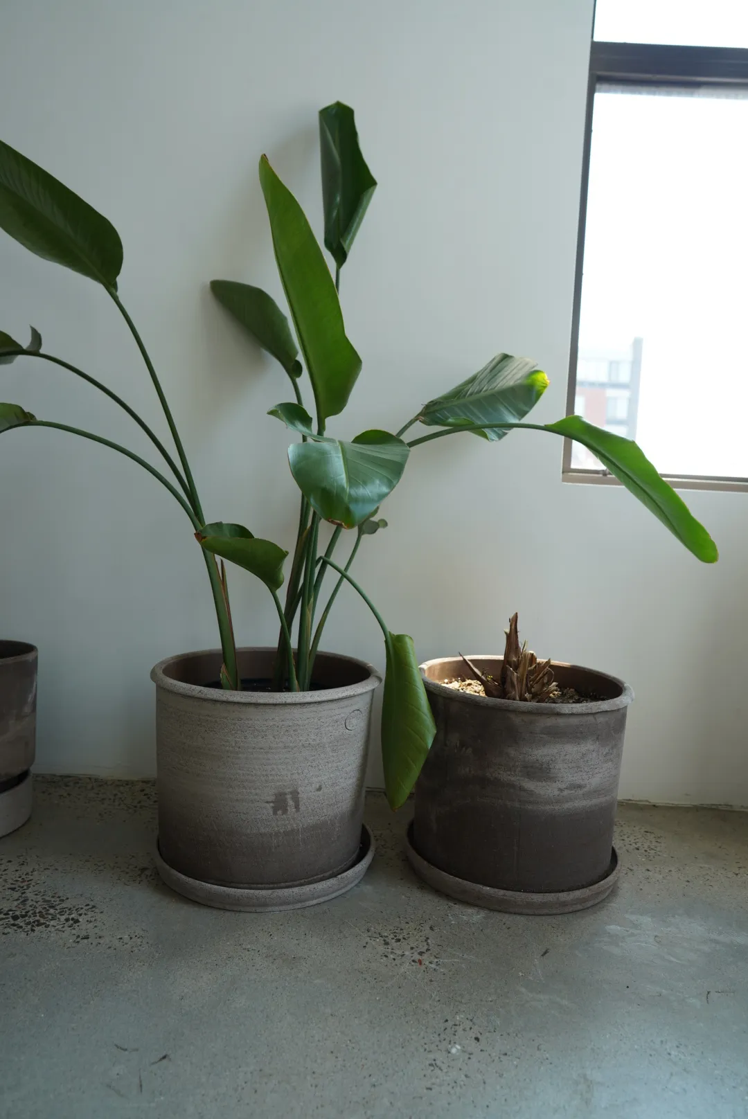 Bergs Potter Large Gray Terracotta Planters — view 2
