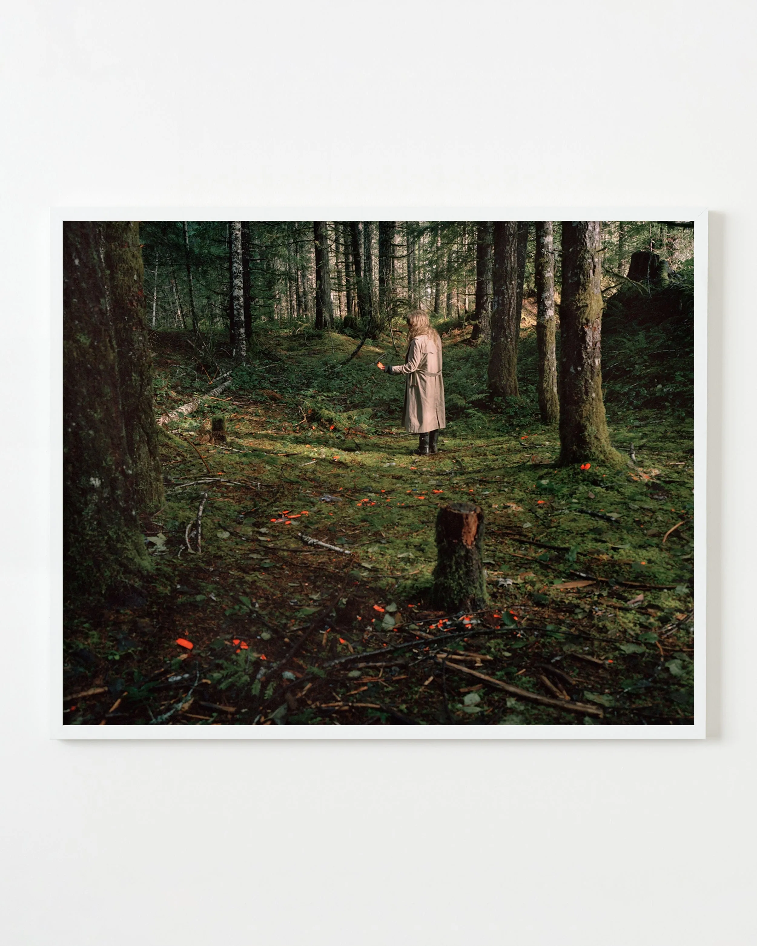 Anna Beeke — Windfall I