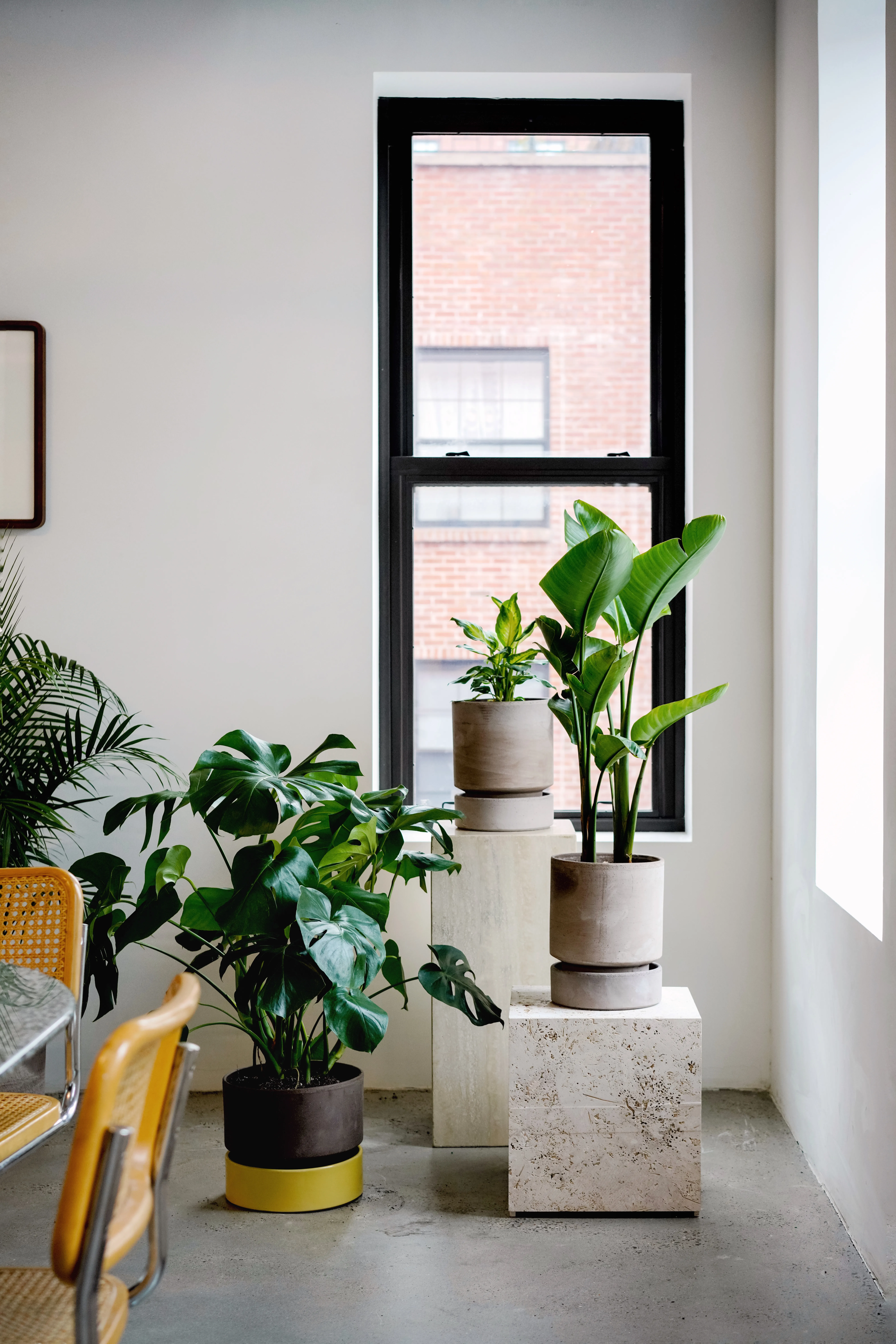 Bergs Potter Green Planters with Maroon Tulip Base — view 4