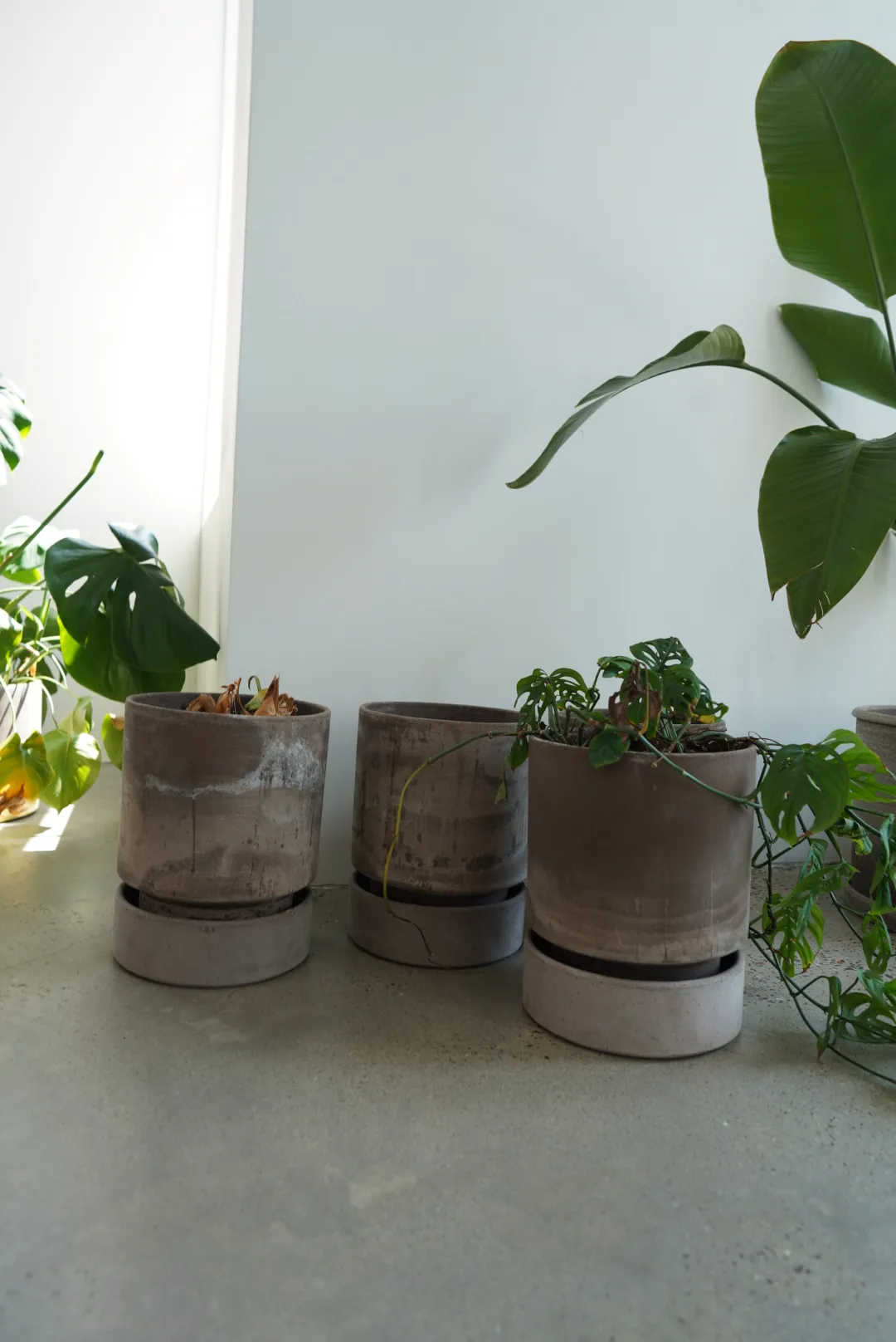 Bergs Potter Medium Gray Terracotta Planters — view 3